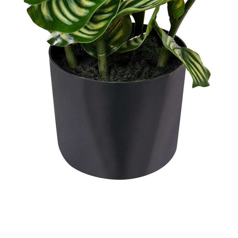 50 cm H Faux Plant in Cement Pot