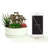 Archie-Jay Ceramic Pot Planter