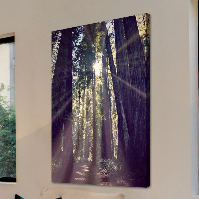 " Redwoods Hike " by Robert Dickinson, 45" H x 30" W x 1.5" D