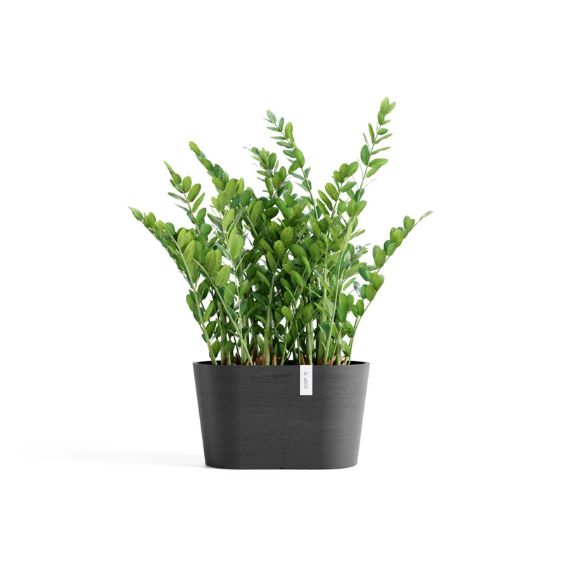 Pot Planter, Dark Gray, 6.5" H x 12" W x 6.5" D