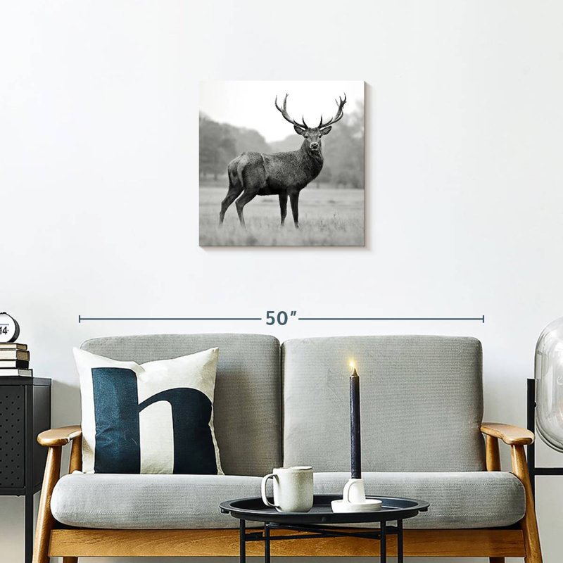 Brampt Proud Deer BW, 20" H x 20" W