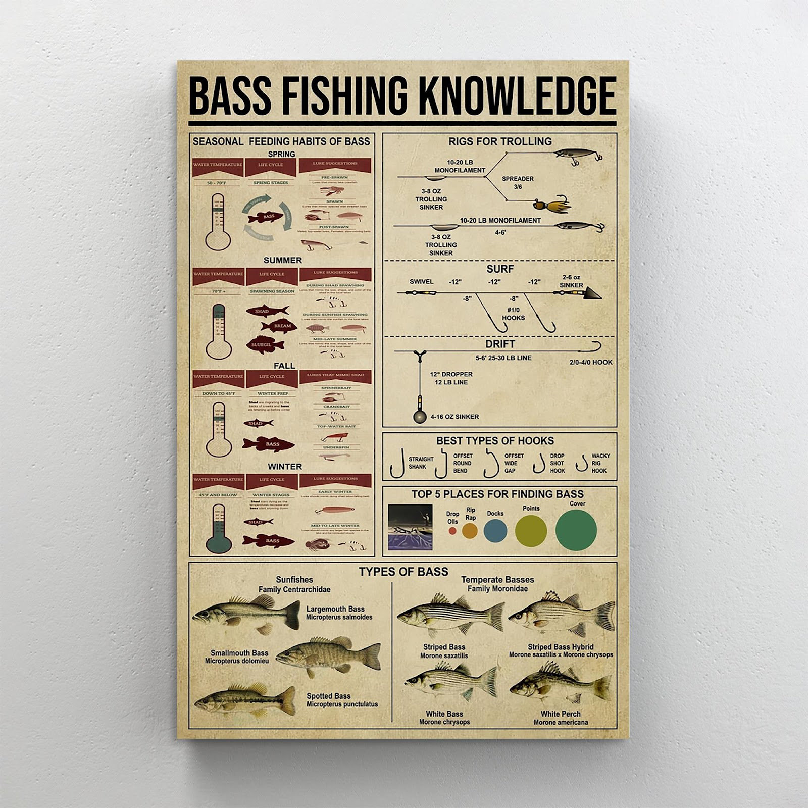 Bass Fishing Knowledge - Wrapped Canvas Textual Art Trinx Size: 14 H x 11 W x 1.25 D