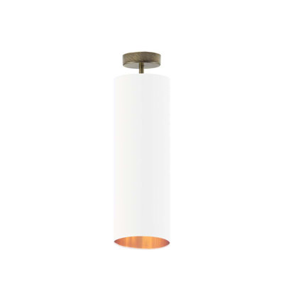Ashpreet 1 - Light Single Pendant