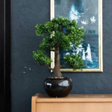 Emerald Artificial Ficus Mini Bonsai Green 47cm