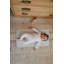 Gathre Changing Mat