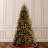 North Valley Spruce Tree with Clear Lights-1892999641