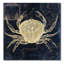 Joden «Maritime Blues III» par Color Bakery, impression sur toile tendue-20568076