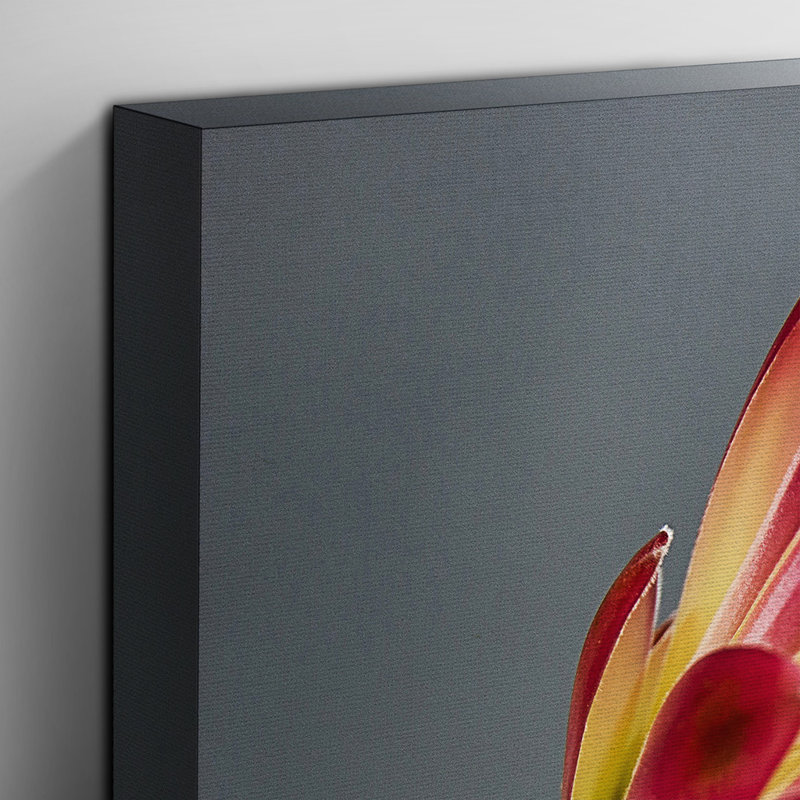 Pink Protea Photographic - Wrapped Canvas, 70cm H x 100cm W