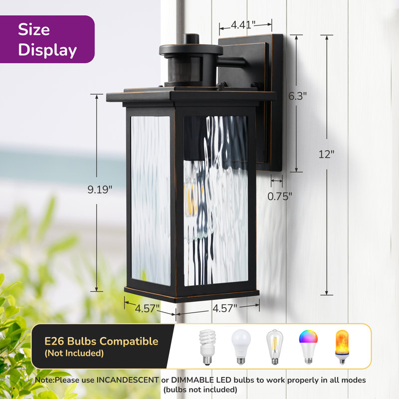Rountree Wall Light with Dusk to Dawn and Motion Sensor