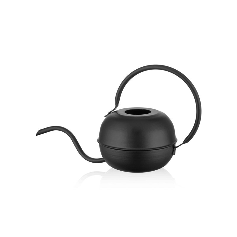 Damyan Watering Can