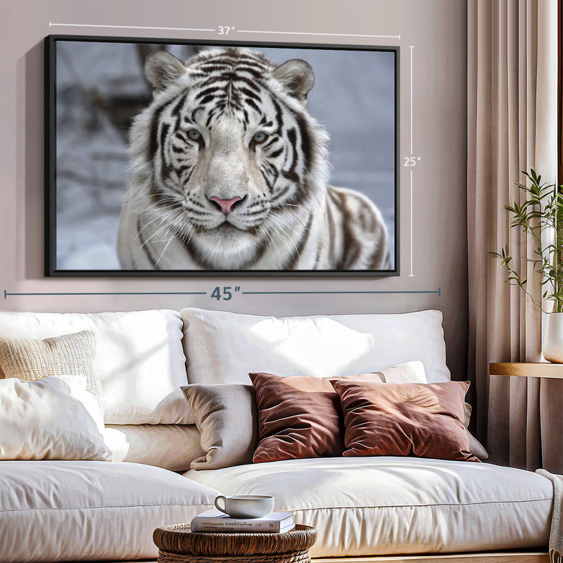 " Endangered White Tiger Canvas Print ", 25" H x 37" W