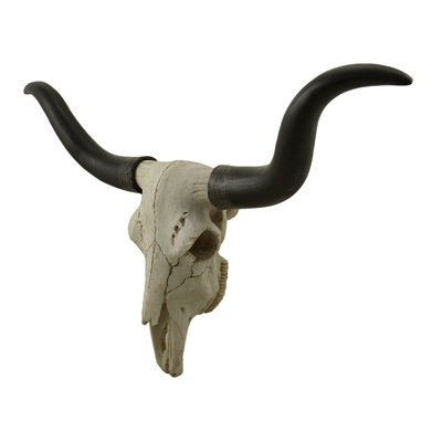 Southwestern resin longhorn trophy skull wall sculpture with black horns and white faux-aged bone finish — 20 in. L x 4 in. W x 10.75 in. H