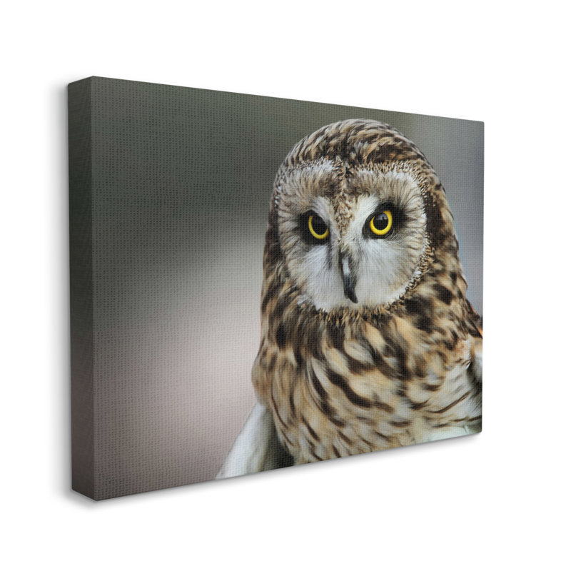 Effet de photographie de bokeh moderne hibou féroce, Daniel Sproul, H 48 po x l 36 po, Plaque murale