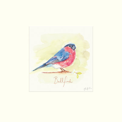 Bullfinch 1 Piece Painting