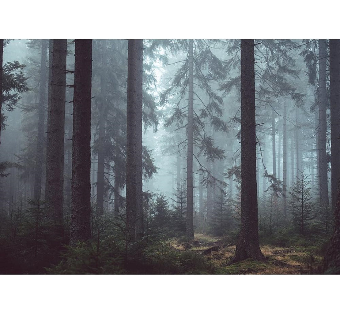 Forest Nature Landscape Peel & Stick Border IDEA4WALL 