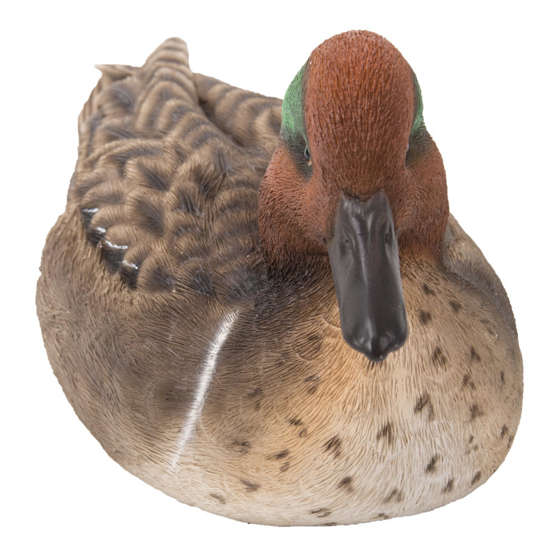 LARGE MALLARD WITH GREEN WING