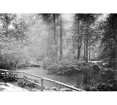 " The Central Park Ramble "