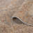 Albany Power-Loom Breelee Design Polyester Area Rug-143801020