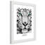 African Tigers - Single Picture Frame Print-405611091-405611094