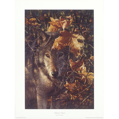" Nature " by Collin Bogle