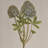 Botanical Canvas Quadriptych