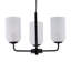 3 - Light Black Paint Pendant
