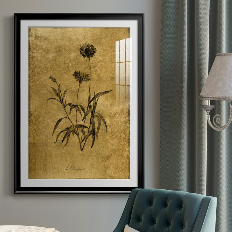 Croquis doré Botanique I - Cadre photo, reproduction d'art sur papier, H 36,5 po x l 26,5 po x P 1,5 po, Noir