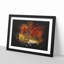 Path Through The Forest At Autumn - Single Picture Frame Print on MDF-56861700-56861705