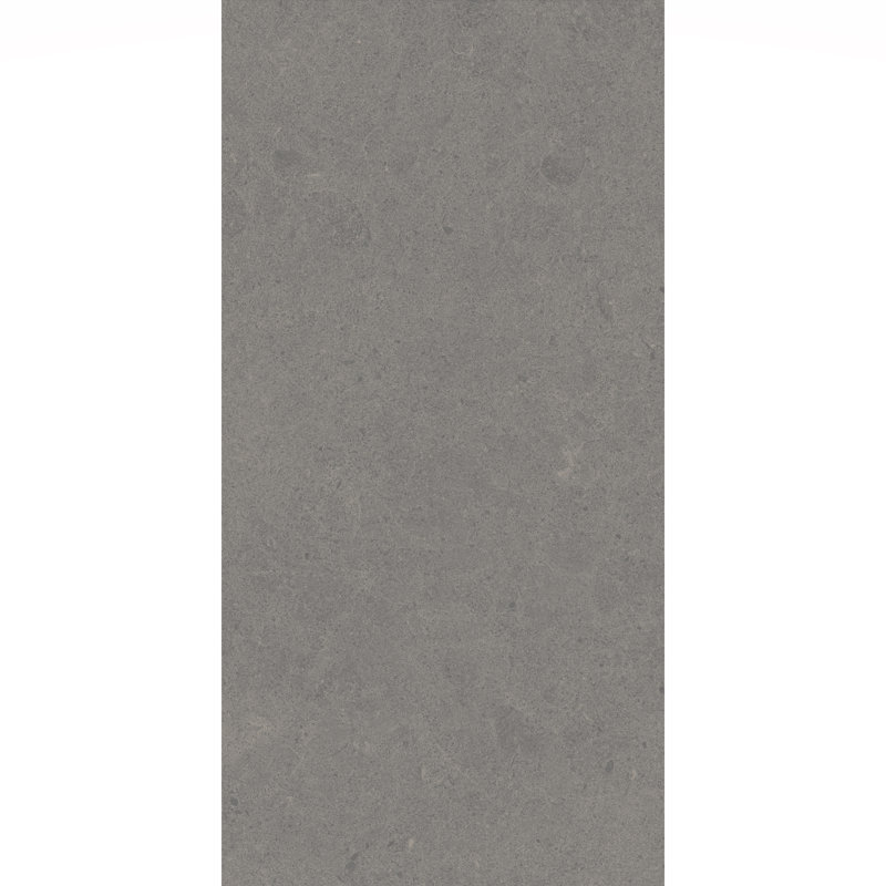 Artistic Freedom 12"X24" Porcelain Stone Look, Slate