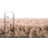 Zuniga Indoor Rug-1499739173