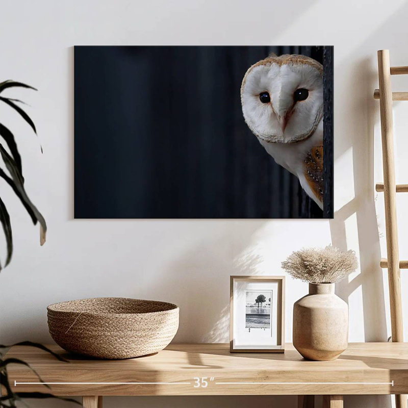 Brampt Owl Peering Out, 16" H x 24" W