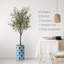 68 plantes-95099219-138916969
