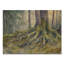 Racines de forêt antique - Art mural en bois vert nature-134336144-134336139