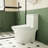 1.1/1.6 GPF Elongated Comfort Height Super Quite Flushing Floor Mounted One-Piece Toilet, CUPC Certified, Watersense Cetified, Ceramic, White Color, Soft Close Seat