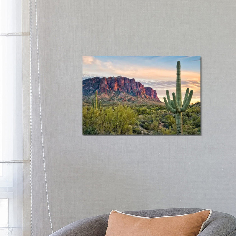 Cacti View II by David Drost - Wrapped Canvas Gallery-Wrapped Canvas Giclée, 66.04 cm H x 45.72 cm W x 3.175 cm D