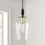 Luminaire suspendu en pot 1 lumière Caitlin