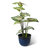 15.25"D Set Of 2 Honeycomb Textured Green Faux Ceramic Pot Plastic Planter-1192810080