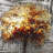 Abstract Tree by Fall - Trees Seasons Poly Twill Throw Decor