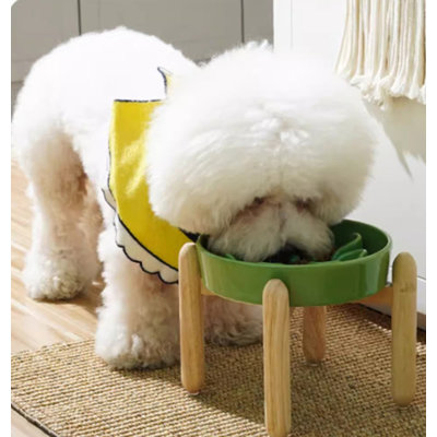 Pet Bowl