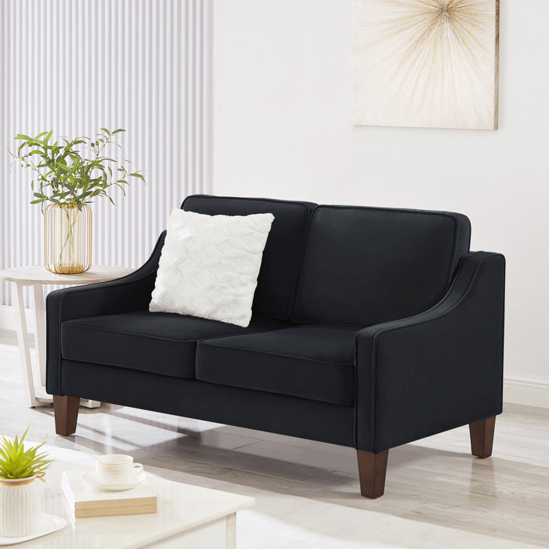 Canapé 2 places avec coussin d'assise à ressorts, montage facile pour salon, chambre, Tissu noir