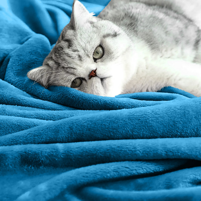 Adamczyk Machine Tufted Throw Blanket, W200 x L240cm, Teal