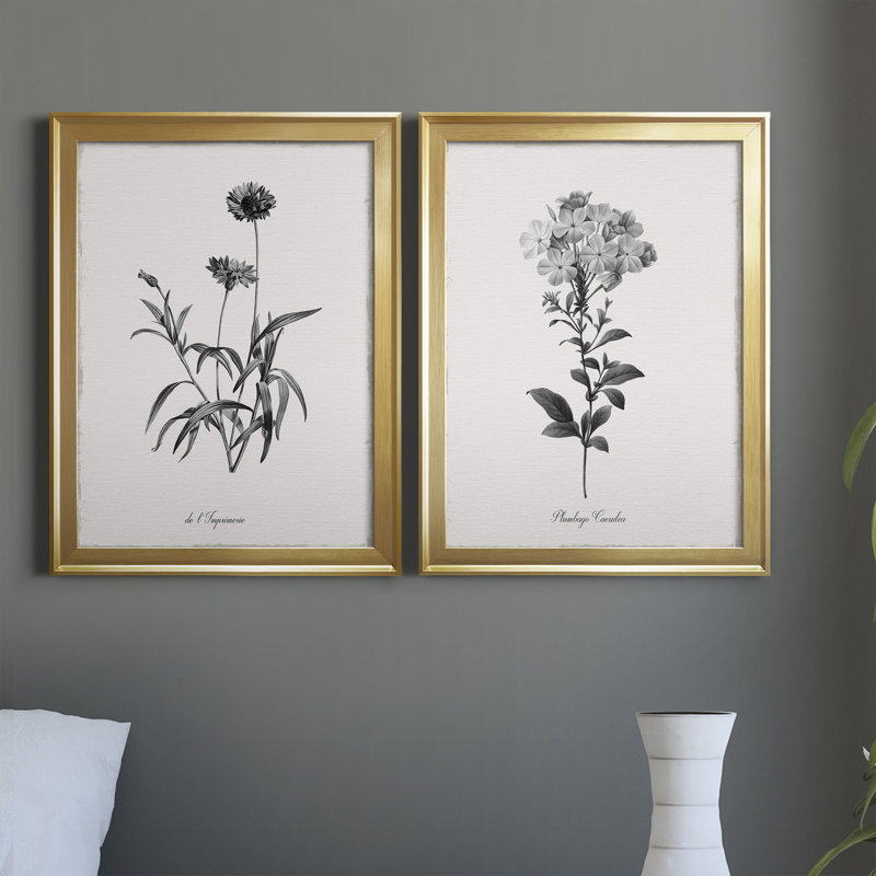 Simply Imperial - Ensemble de 2 reproductions de dessins sur toiles, H 18,5 po x l 49 po x P 1,5 po, Gold Framed Canvas