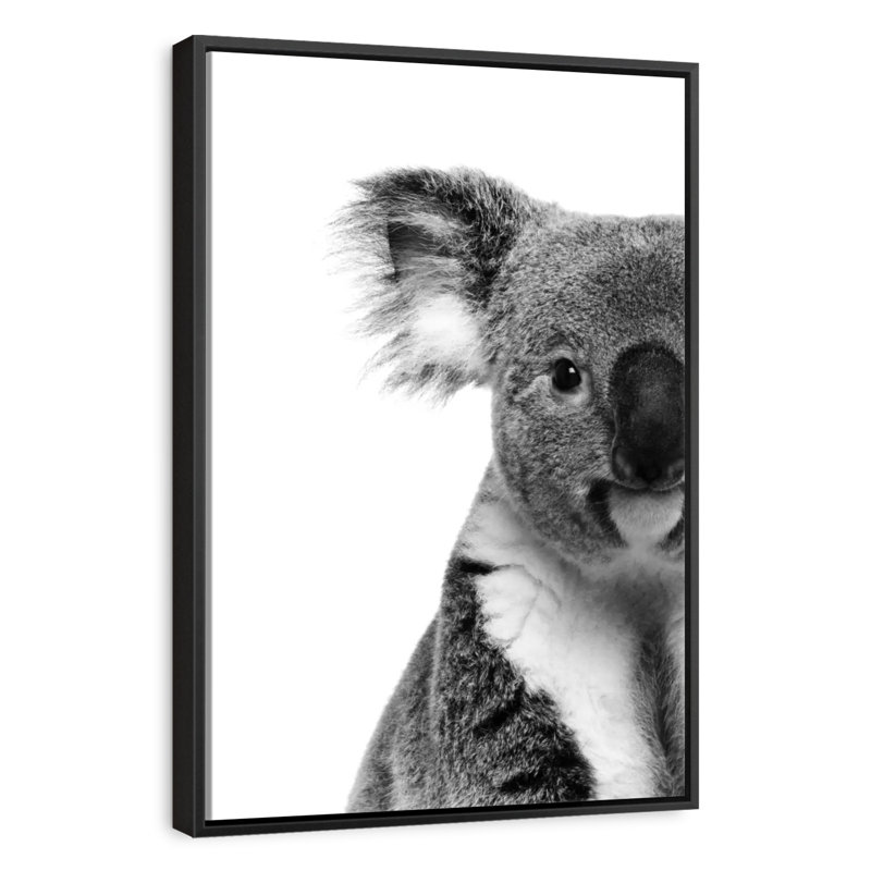 Koala adorable, 9 po x 13 po, Cadre flottant noir