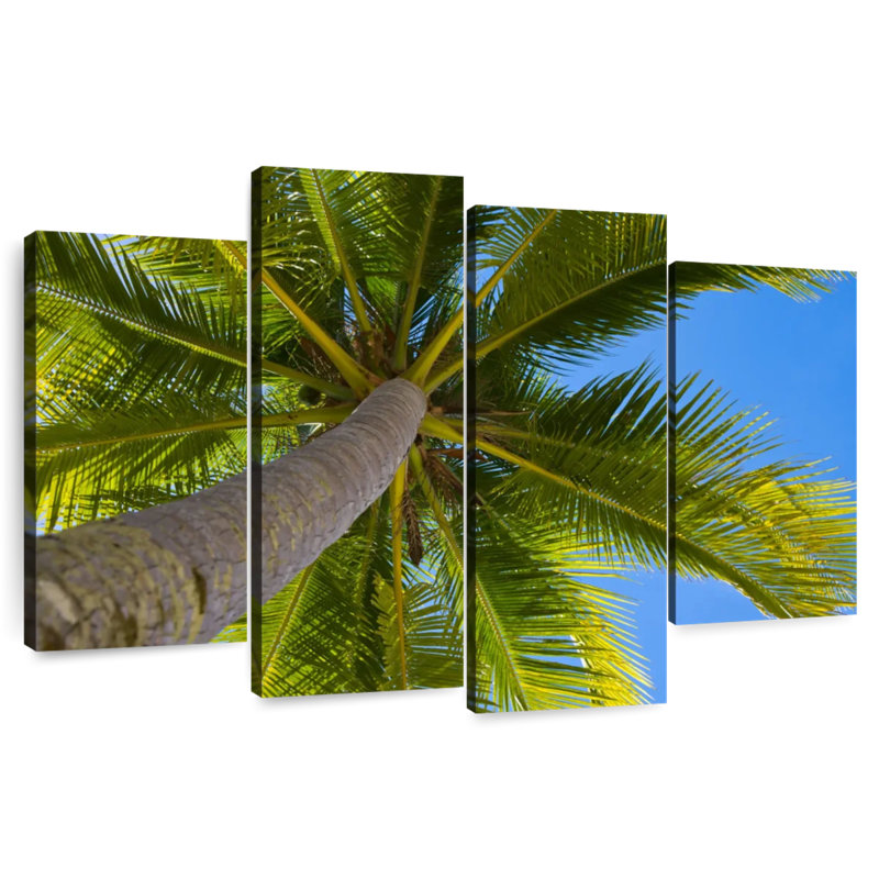 Harnek Coconut Tree Shade, 27" H x 43" W