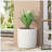 Blandin Round Lightweight Concrete Pot Planter-1611867029