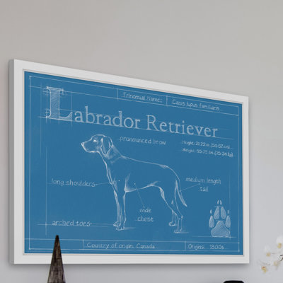 " Blueprint Labrador Retriever " by Ethan Harper