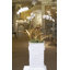 Tulip Orchid Stem-22694675