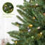 Arbre de Noël Albric North Valley-2128109873