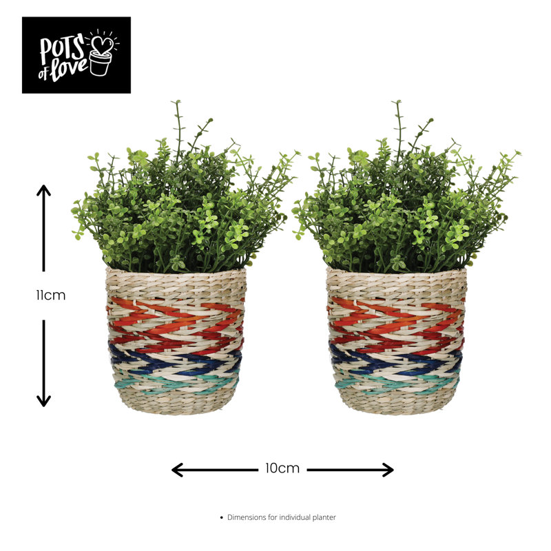 KitchenCraft Seagrass Plant Striped