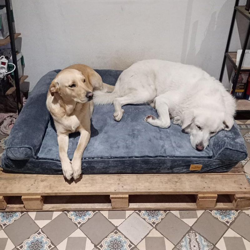 Dog Couch Bolster, 4.7" H x 53" W x 39.3" D